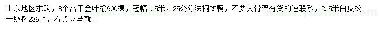 求購金葉榆、法桐、白皮松