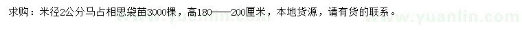 求購米徑2公分馬占相思