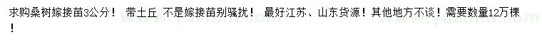 求購3公分桑樹嫁接苗