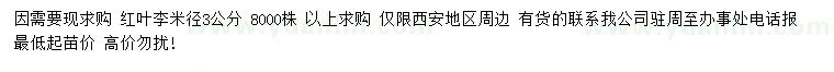 求購米徑3公分紅葉李