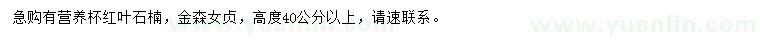 求購高40公分以上紅葉石楠、金森女貞