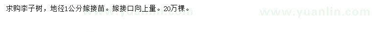 求購地徑1公分李子樹