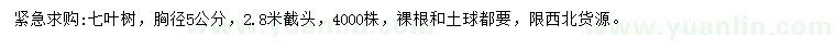 求購胸徑5公分七葉樹