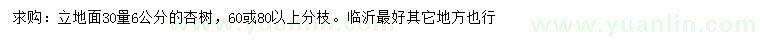 求購30量6公分杏樹