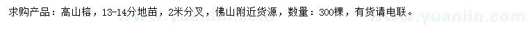 求購13-14公分高山榕