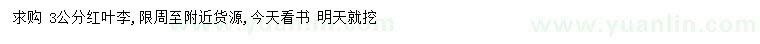 求購3公分紅葉李