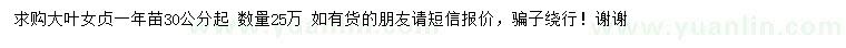 求購30公分以上大葉女貞