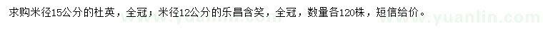 求購米徑15公分杜英、12公分樂昌含笑