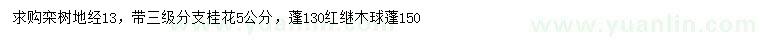 求購欒樹、桂花、紅繼木球