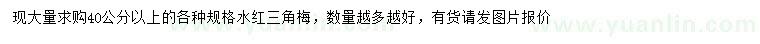 求購40公分以上水紅三角梅