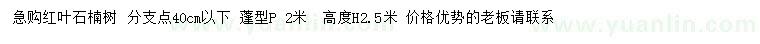 求購高2.5米紅葉石楠