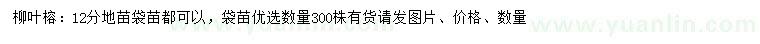 求購12公分柳葉榕