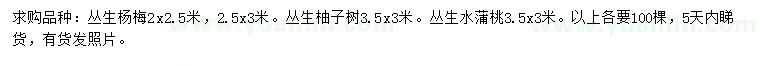 求購叢生楊梅、叢生柚子樹、叢生水蒲桃