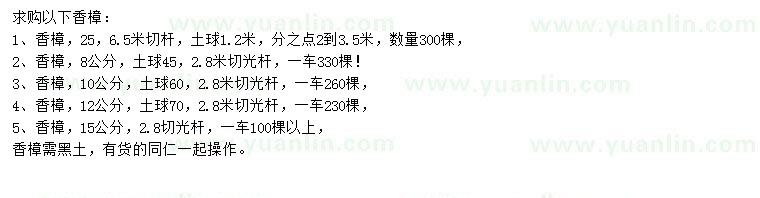 求購8-25公分香樟