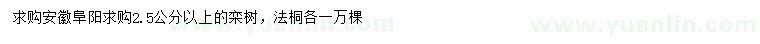 求購2.5公分以上欒樹、法桐