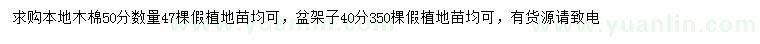 求購50公分本地木棉、40公分盆架子