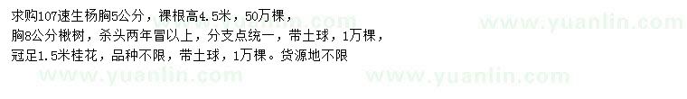 求購107速生楊、楸樹、桂花
