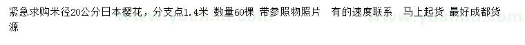 求購20公分日本櫻花
