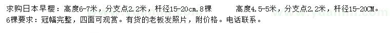 求購(gòu)高6-7米日本早櫻