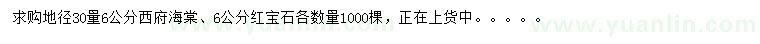 求購6公分西府海棠、紅寶石