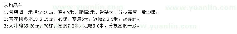 求購(gòu)骨架樟、黃花風(fēng)鈴木、大葉榕