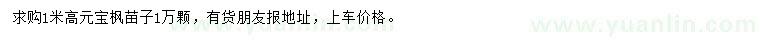 求購高1米元寶楓