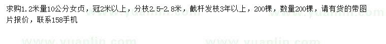 求購1.2米量10公分女貞