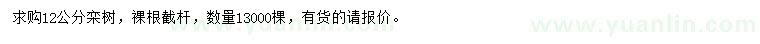 求購12公分欒樹(shù)