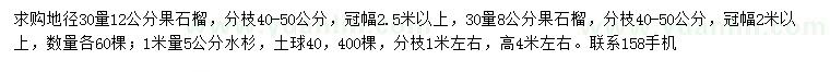 求購30量8、12公分果石榴、1米量5公分水杉