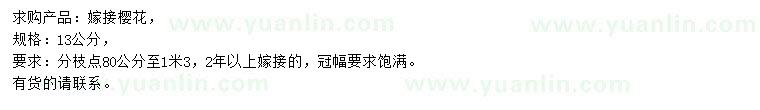 求購13公分嫁接櫻花