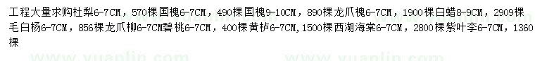 求購杜梨、國槐、龍爪槐等