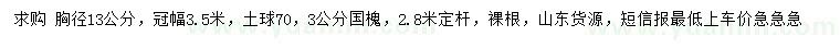 求購胸徑13公分五角楓、3公分國槐