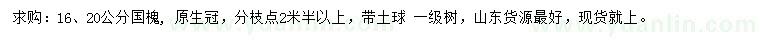 求購16、20公分國槐