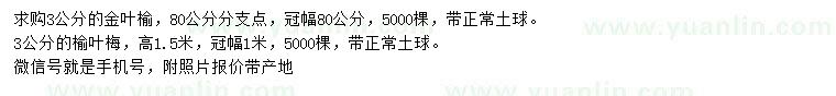 求購3公分金葉榆、榆葉梅