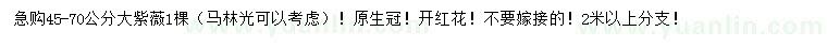 求購45-70公分紫薇