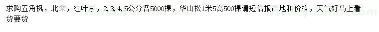 求購(gòu)五角楓、北欒、紅葉李等