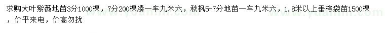 求購大葉紫薇、秋楓、垂榕