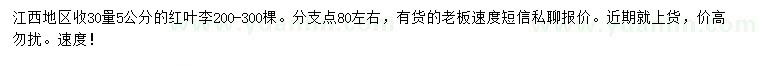 求購(gòu)30量5公分紅葉李