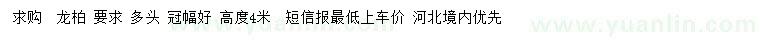 求購高4米龍柏
