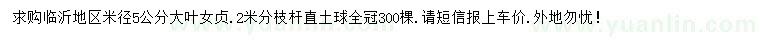求購米徑5公分大葉女貞