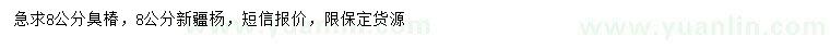 求購(gòu)8公分臭椿、新疆楊