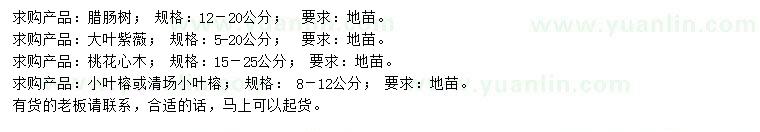 求購(gòu)臘腸樹(shù)、大葉紫薇、桃花心木等