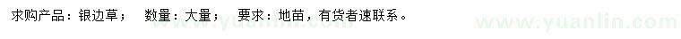 求購銀邊草
