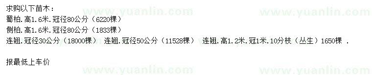 求購蜀柏、側(cè)柏、連翹