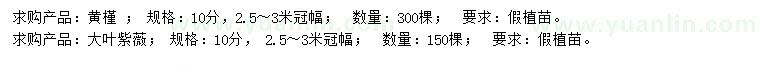 求購10公分黃槿、大葉紫薇