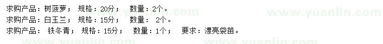 求購(gòu)樹(shù)菠蘿、白玉蘭、鐵冬青