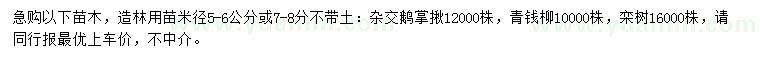 求購雜交鵝掌揪、青錢柳、欒樹