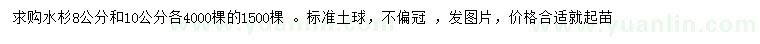 求購8、10公分水杉