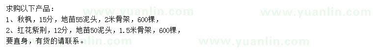 求購15公分秋楓、12公分紅花紫荊