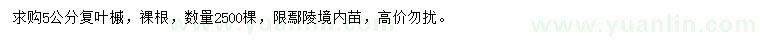 求購(gòu)5公分復(fù)葉槭